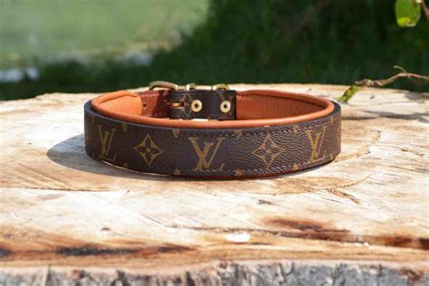 louis vuitton collar stays|Louis Vuitton dog collar sizes.